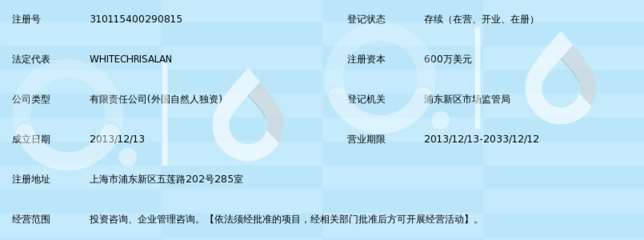 專業引領，價值共創 愛珂投資咨詢的服務理念與實踐